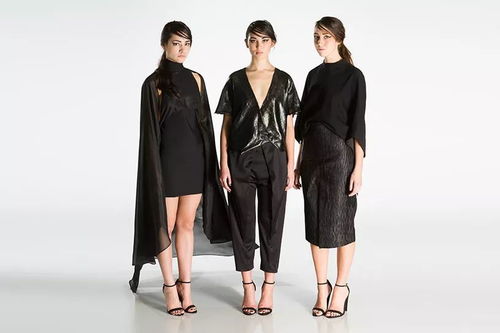 羅德島設(shè)計學(xué)院 服裝設(shè)計 申請解析 如何拿下 善變 的獨(dú)立命題項目